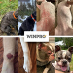 WINPRO advanced formula soft chews nutritional facts and active ingredients list