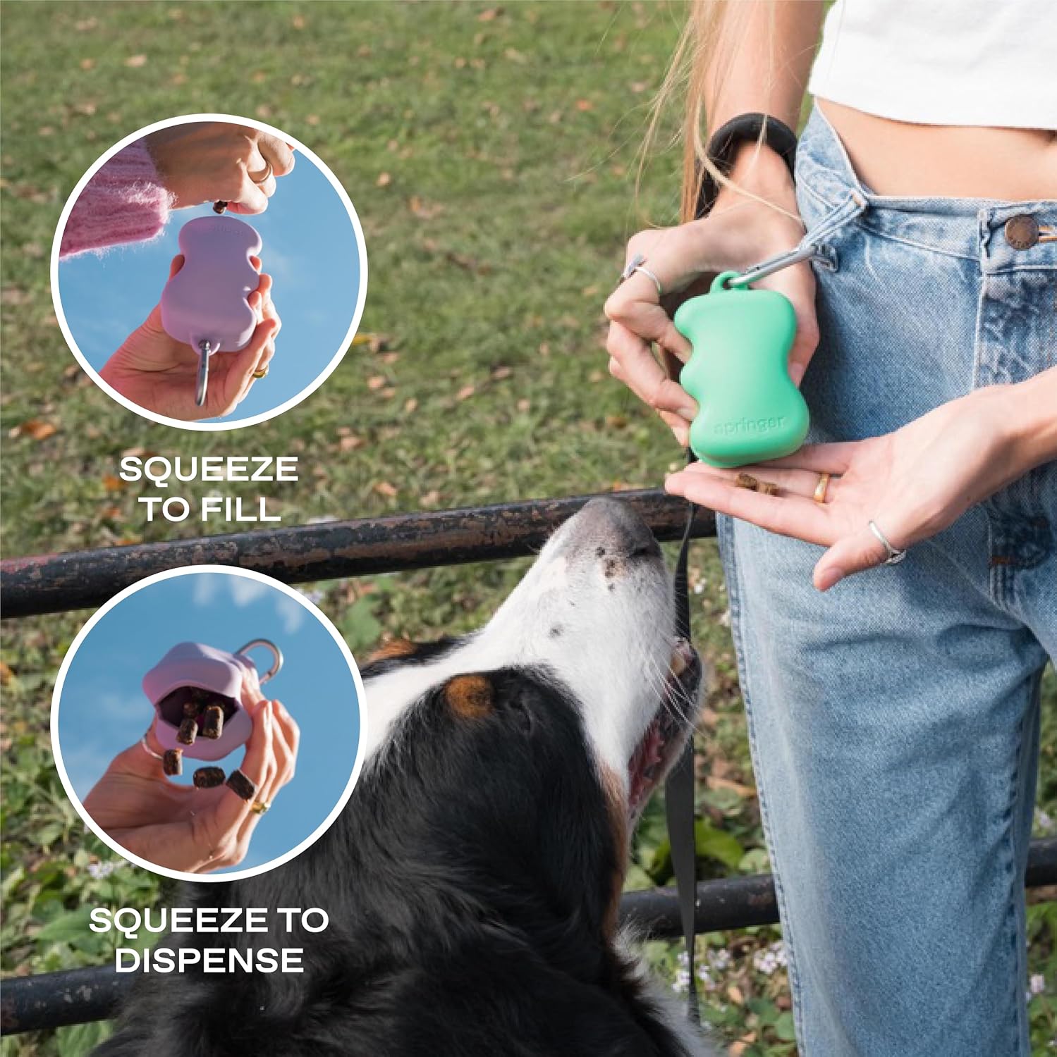 Springer green treat pouch next to pet training supplies