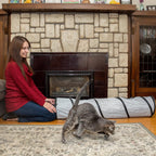 Cat playing inside the 46 inch play tube
