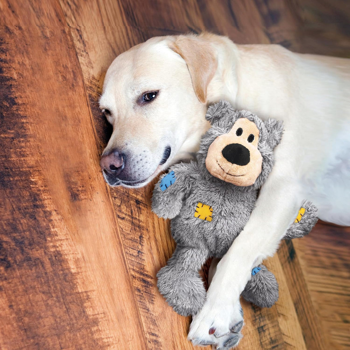 KONG Wild Knots Bear dog toy two pack assortment