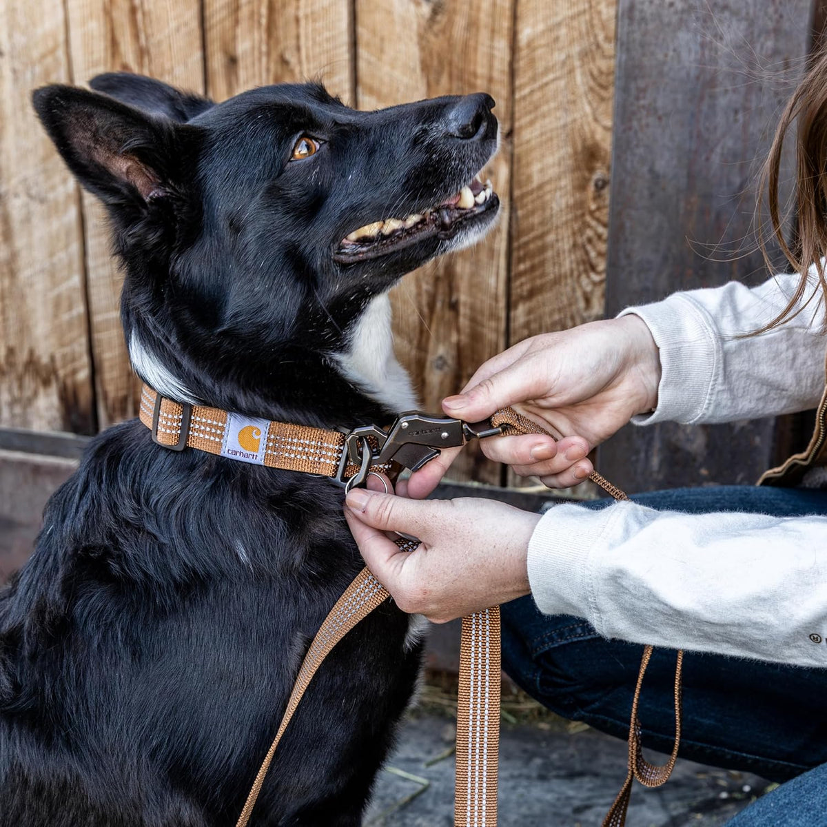 Carhartt dog leash 6 foot length nylon webbing