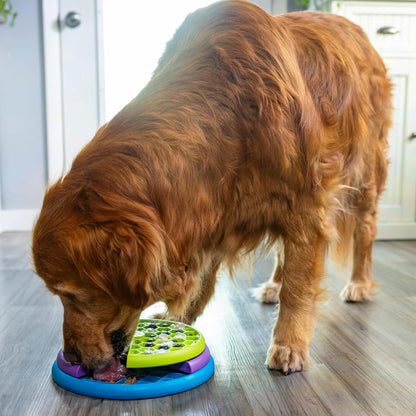 Nina Ottosson three in one interactive dog feeder game setup.