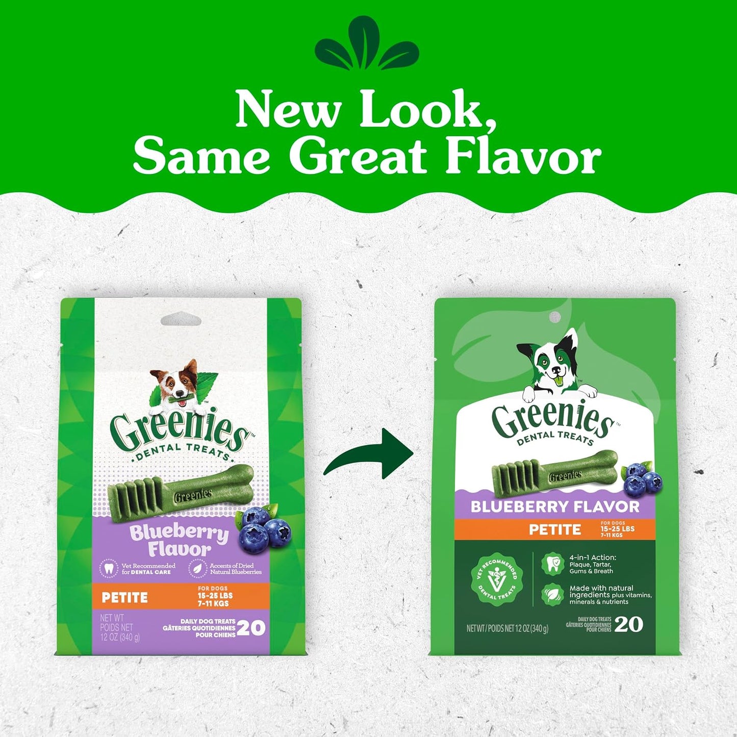 Greenies blueberry dog dental chews for small breed oral care