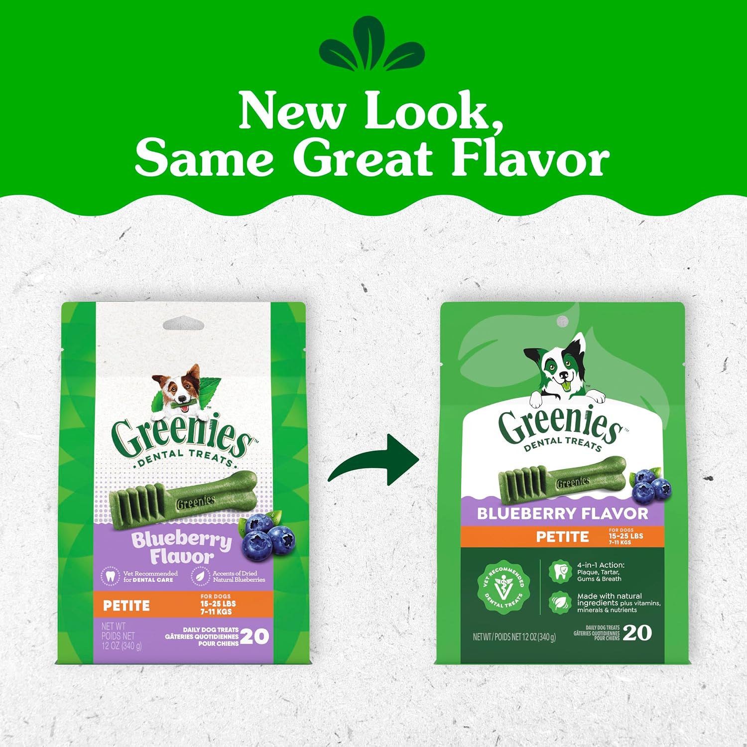 Greenies blueberry dog dental chews for small breed oral care