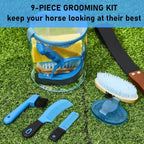 Detailed view of horse hoof pick and mane combs
