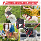 Reflective nylon webbing detailing on the premium lightweight outdoor puppy carrier vest.
