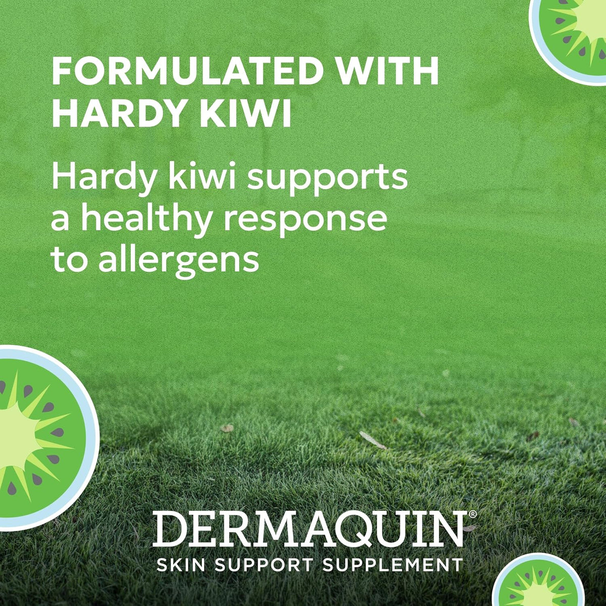 Nutramax Dermaquin large dog skin supplement ingredients label showing hardy kiwi
