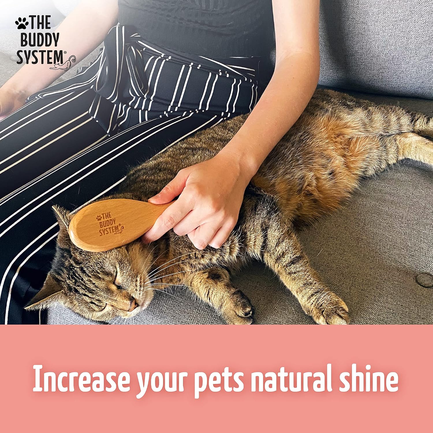 Premium daily cat grooming brush for shedding and dander reduction packaging back view