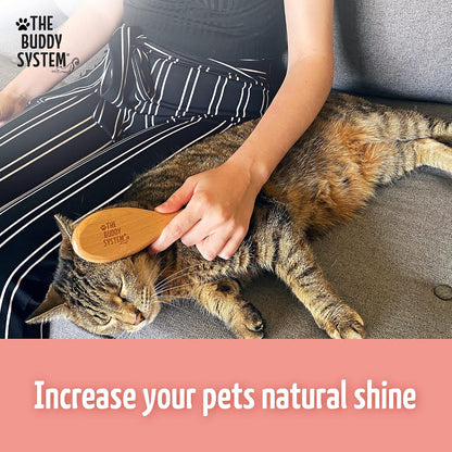 Premium daily cat grooming brush for shedding and dander reduction packaging back view