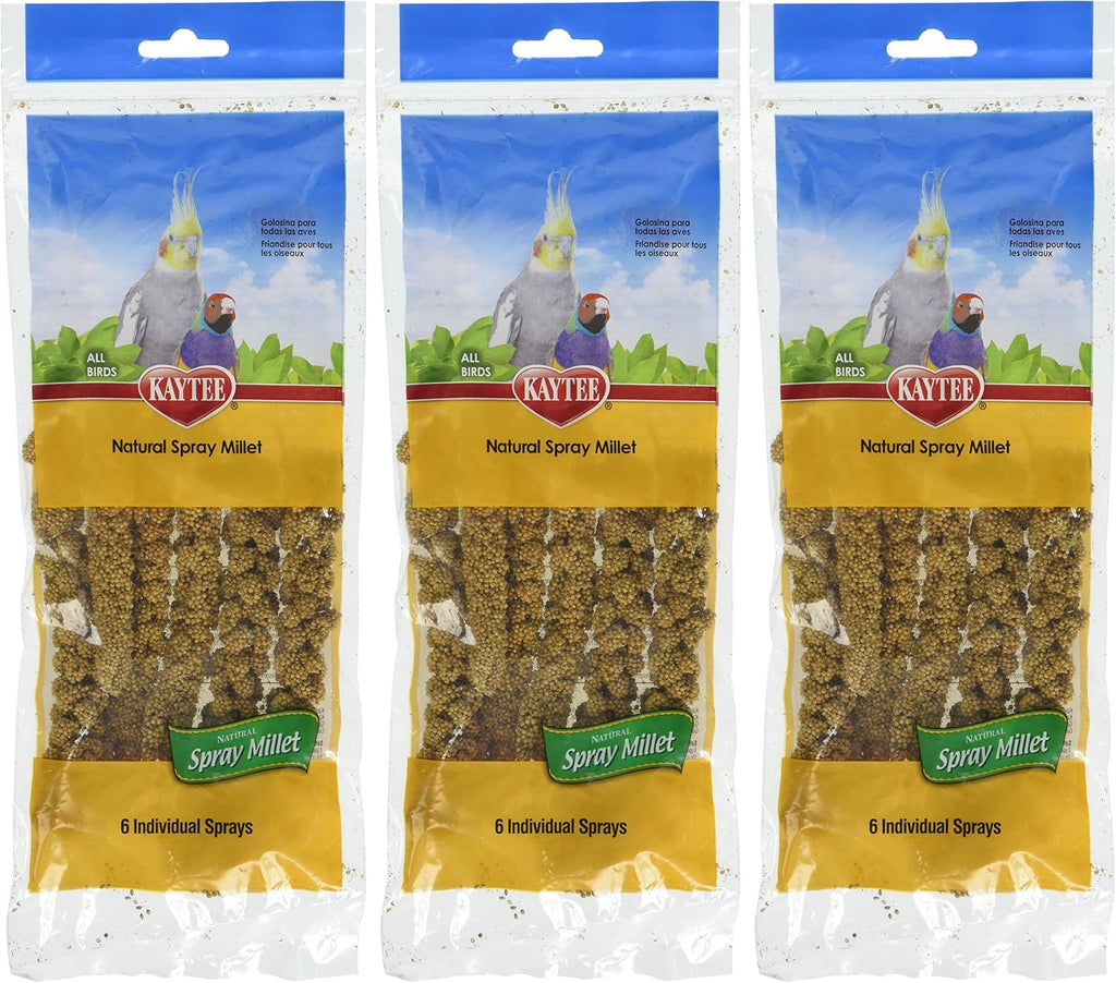 Kaytee Spray Millet Treat for Pet Birds, 7 oz - Image 12
