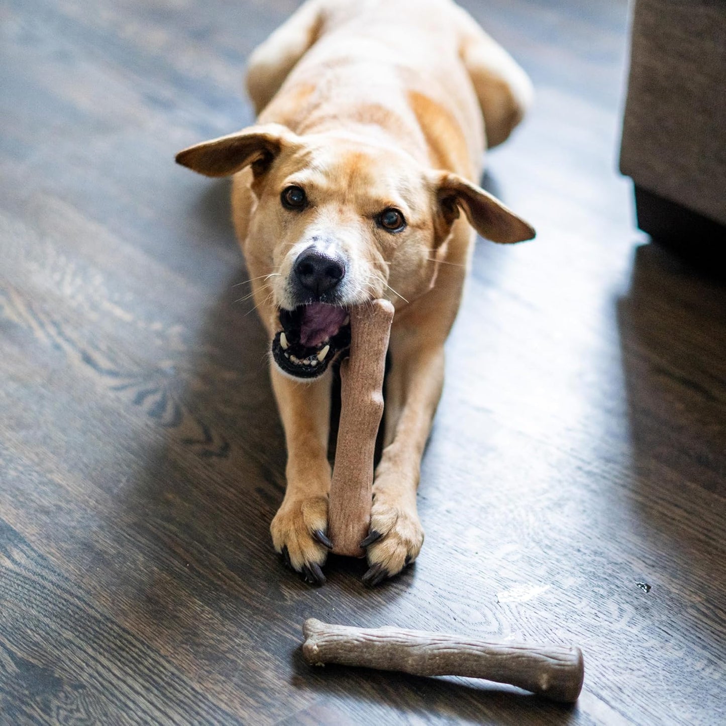 Durable wood alternative chew toy for dogs