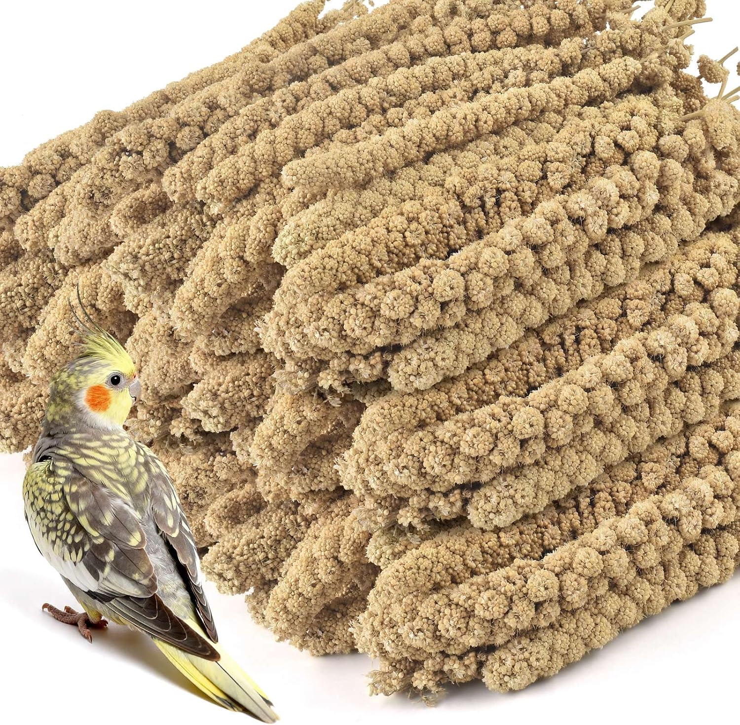 Bird cage accessories and healthy millet snacks