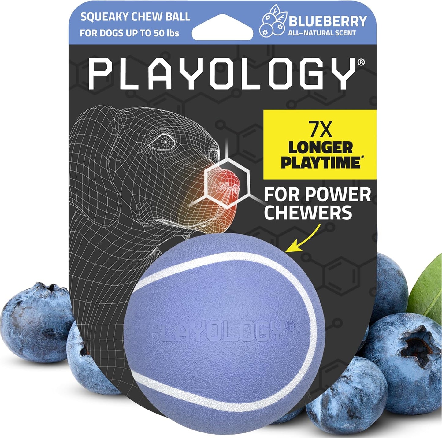 Playology Dog Toys | Squeaky Chew Ball for Large Dogs | Chicken Scented Jumbo Dog Ball | Bouncy Floating Chew Toys for Fetch - Image 12