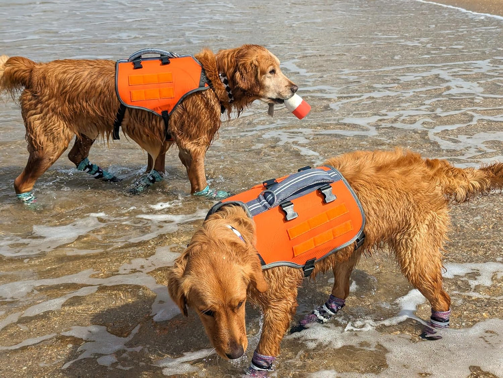 Multi-Purpose Dog Backpack Life Jacket (Size Medium) - Image 9