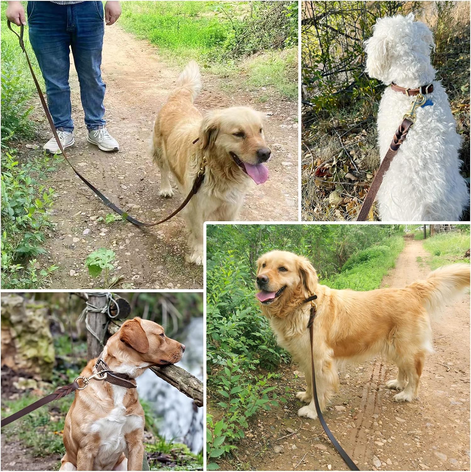 Meruogkar training leash 6 Foot length