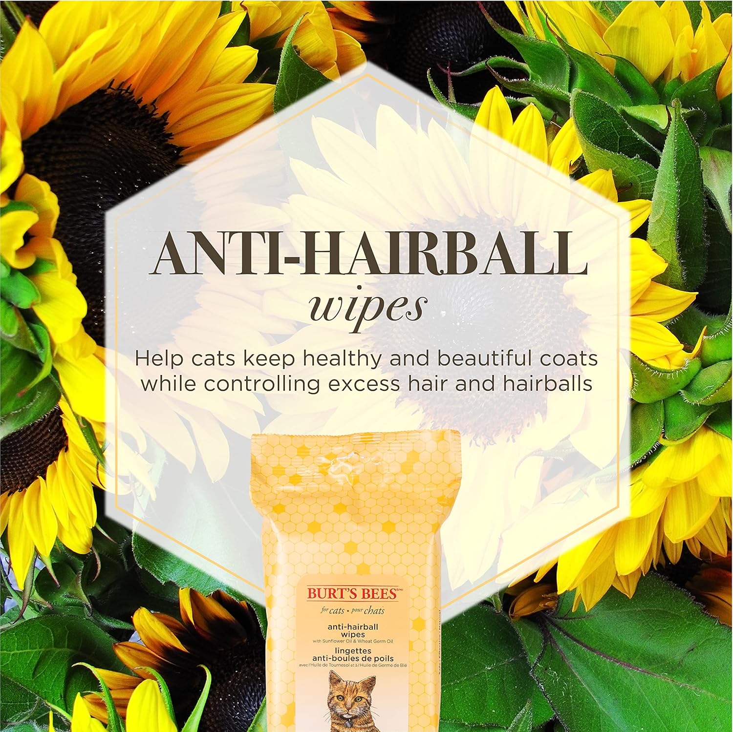 Waterless cat grooming wipes for reducing loose hair and shedding