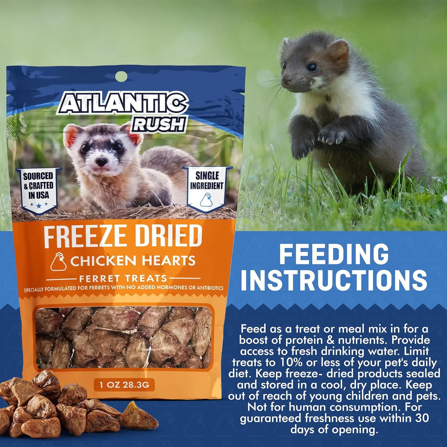 ThePamperedFerret freeze dried chicken hearts showing crunchy meat texture
