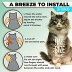 Cat wearing grey flea and tick collar