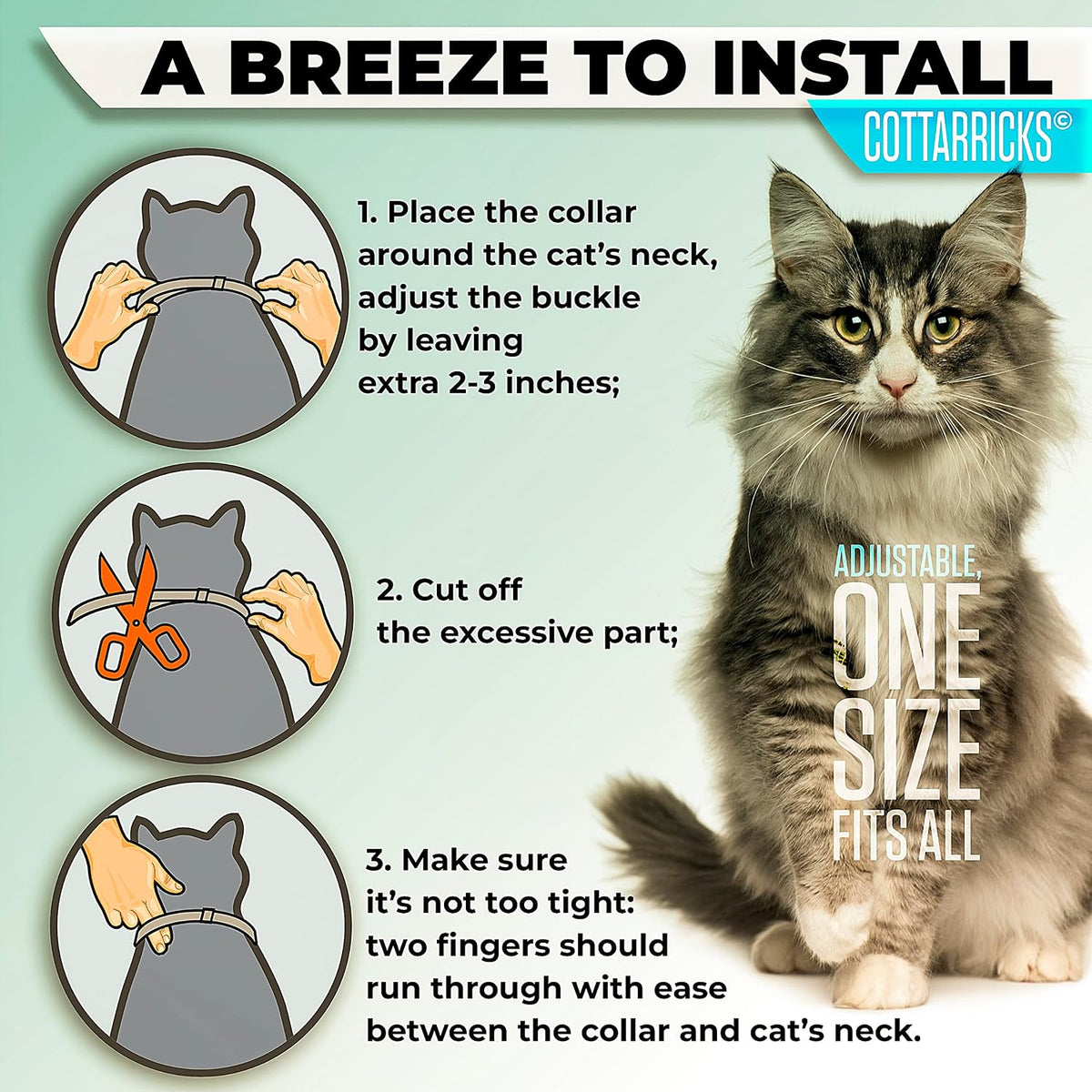 Cat wearing adjustable flea and tick collar