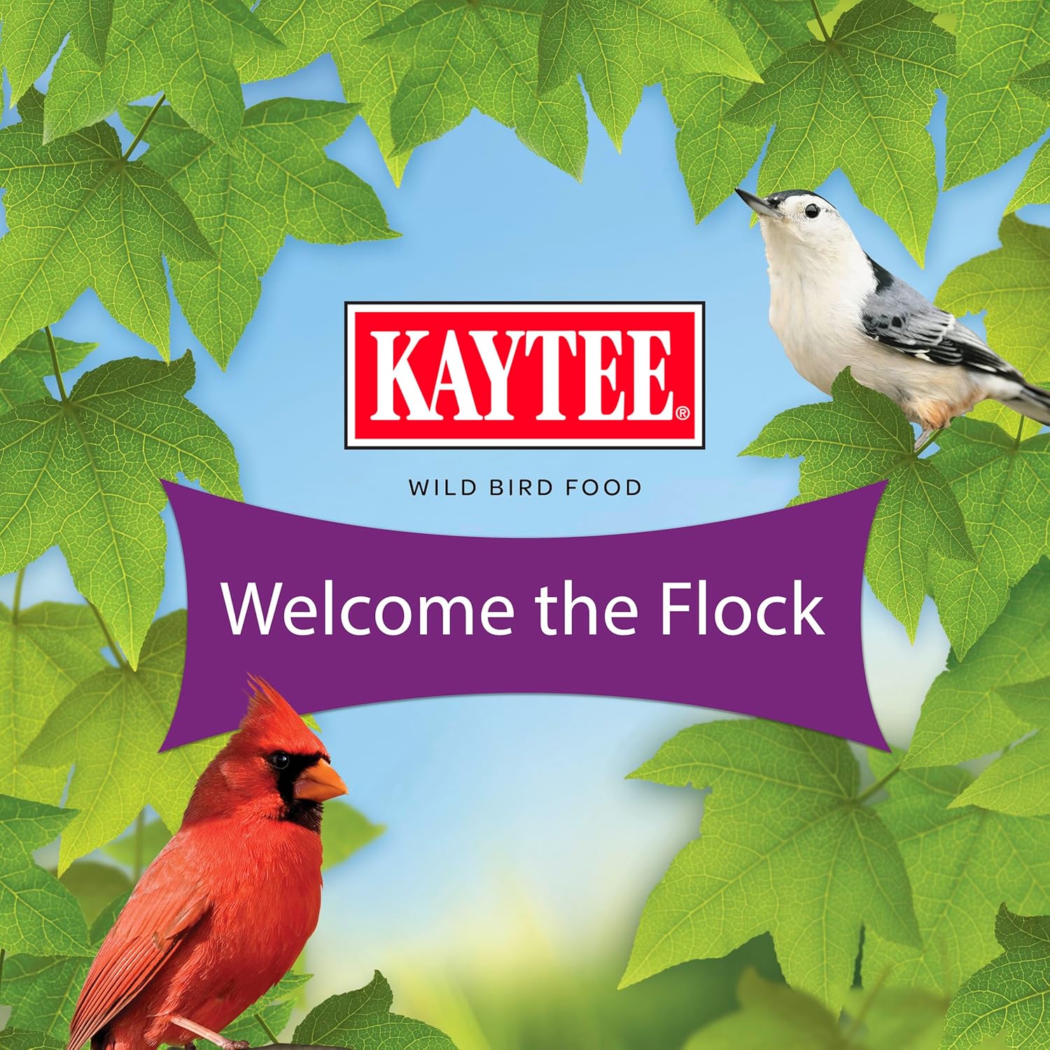 Kaytee Nut & Fruit Wild Bird Seed, 5 lb - Image 9