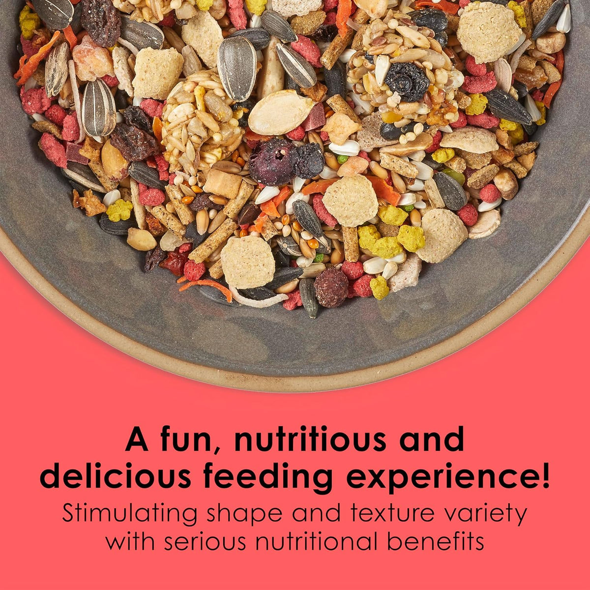 Close up of Kaytee Fiesta gourmet seed and fruit bird food mix.