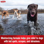 Sulfodene medicated pet spray with aloe vera ingredient callout