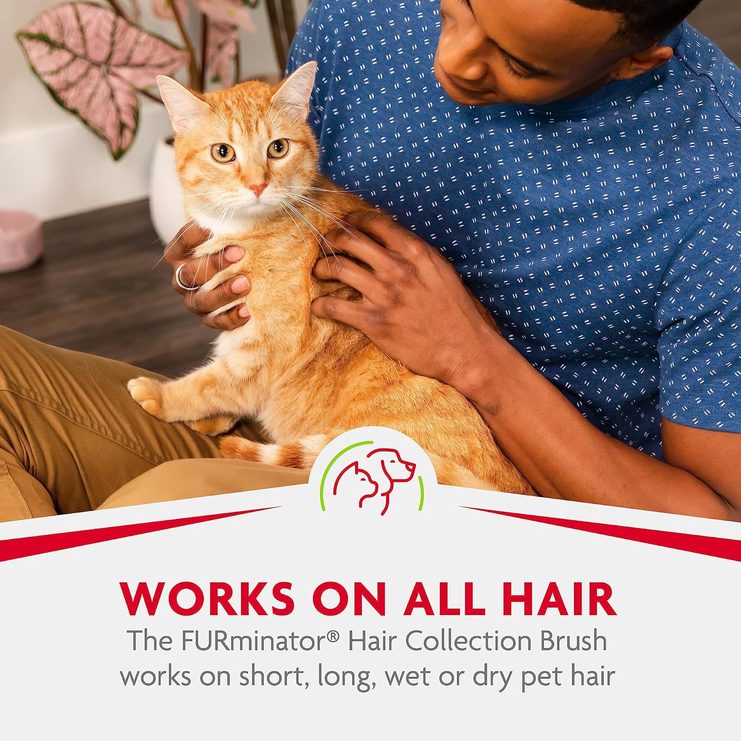 Authentic USA imported cat deshedding and household fur collector brush.
