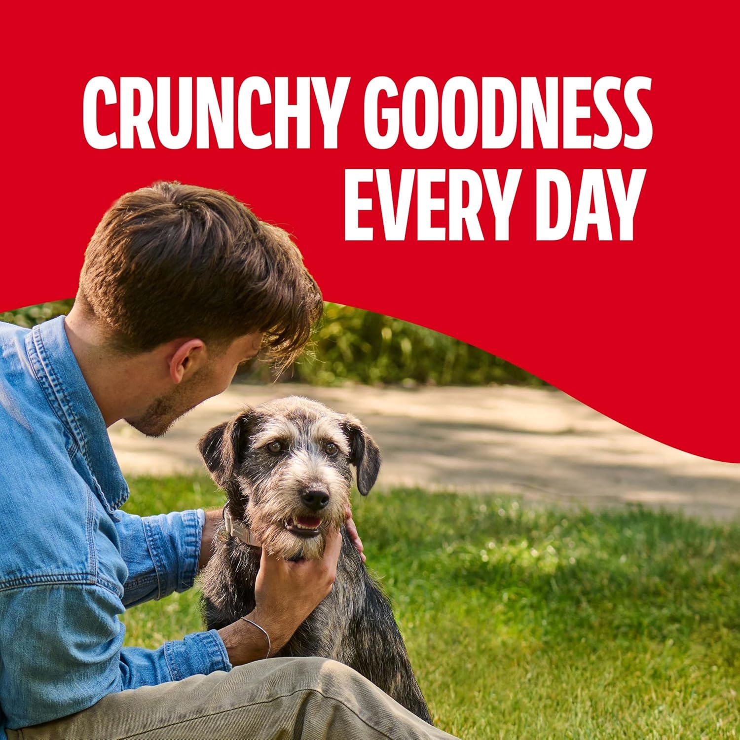 Milk-Bone Crunchy Medium Dog Treats, 10 Lb. Box, Original Beef Flavor - Image 6