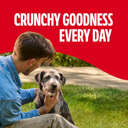 Milk-Bone Crunchy Medium Dog Treats, 10 Lb. Box, Original Beef Flavor - Image 6