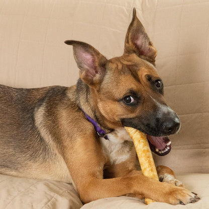 Fieldcrest Farms Nothin' to Hide Ultra Knotted Bones - Collagen-Based Rawhide Alternative Dog Chews, Beef Flavor, Highly Digestible for Aggressive Chewers up to 35 lbs, 9-Inch, 2 Pack - Image 9