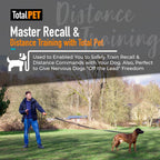 Total Pet fifty foot long line training lead extended out in a park for dog recall practice