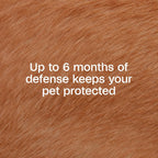 Water-resistant Adams flea collar packaging detail