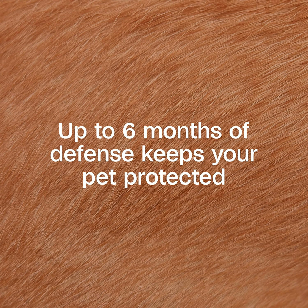 Side view of Adams flea and tick collar for puppies