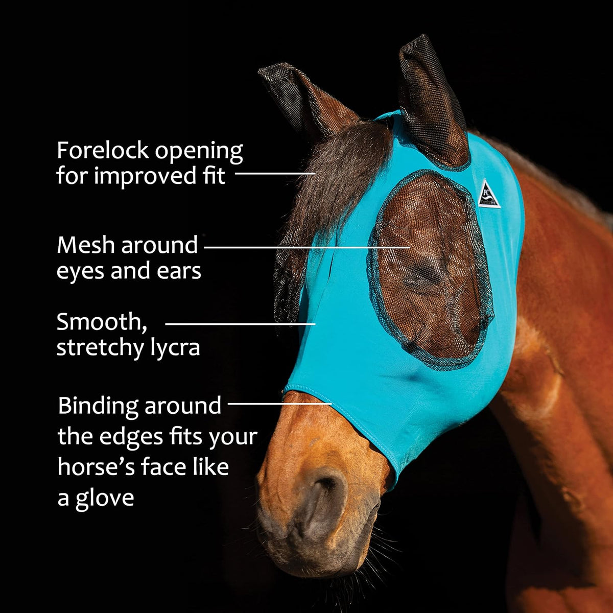 Horse wearing blue Lycra fly mask for bug protection