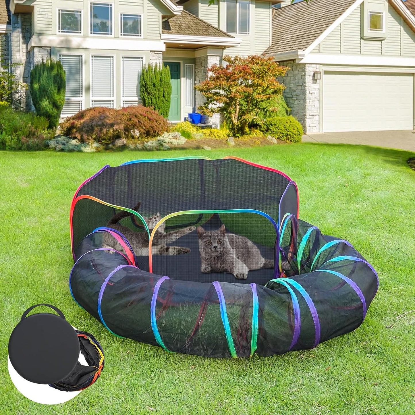 PLITTPETTS outdoor cat enclosure rainbow mesh tent and tunnel front view