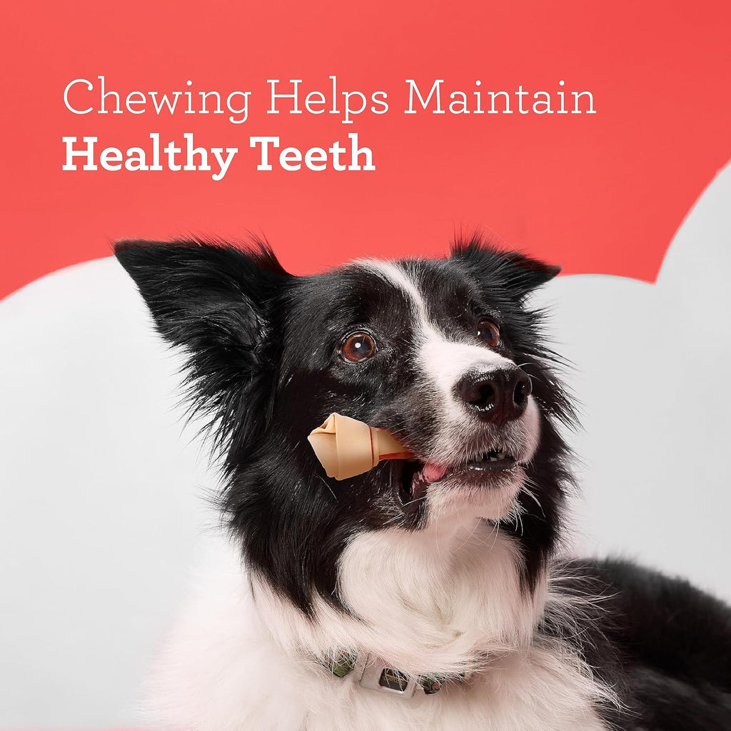 DreamBone safe non splintering chicken flavored treats for pet dental care
