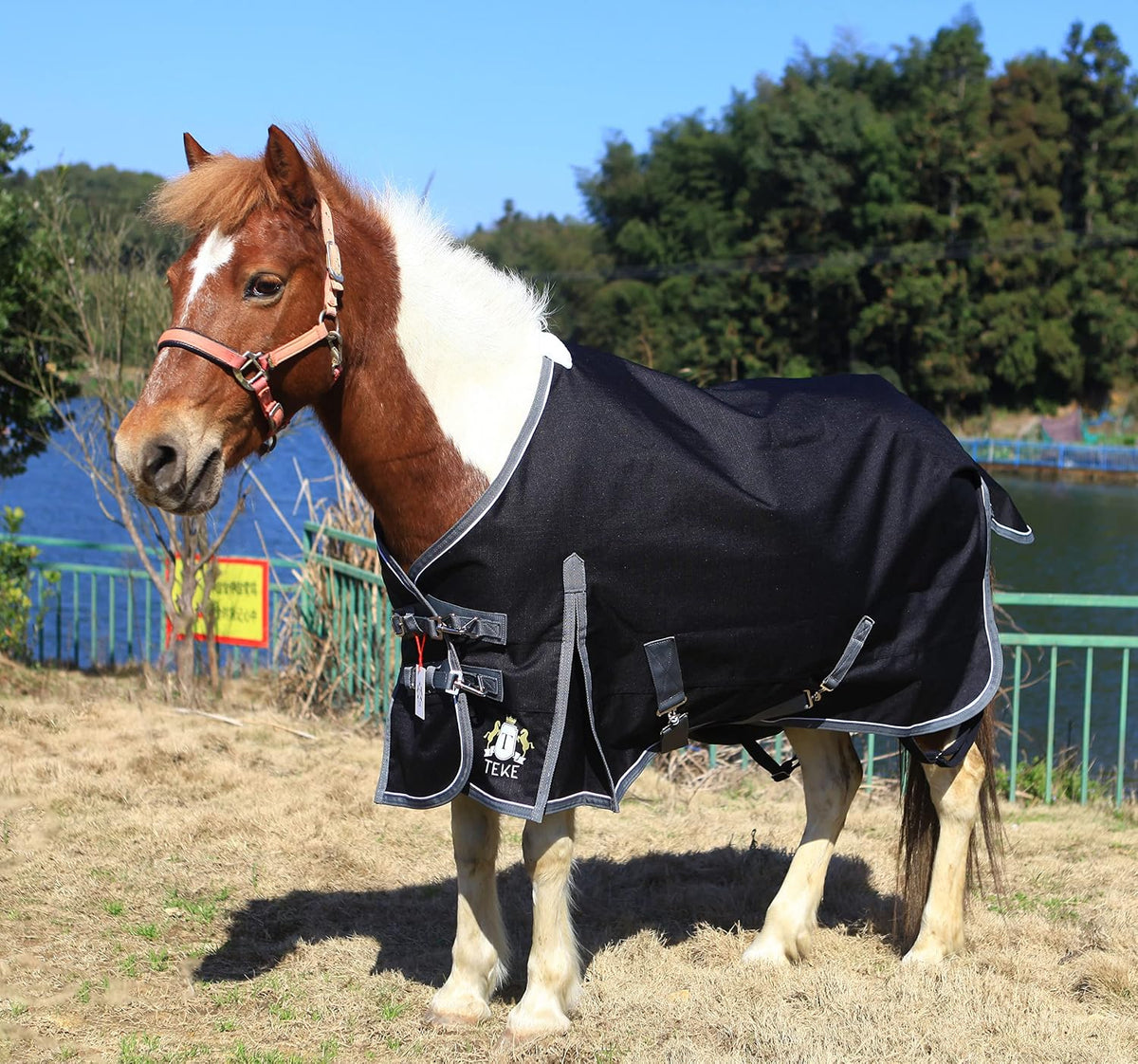 Close up of T TEKE horse blanket quick clip front closures and chest buckles.