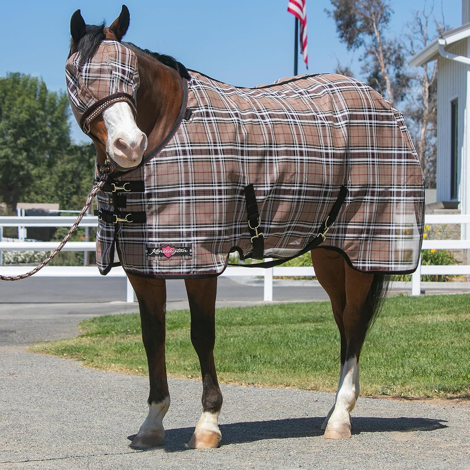 Kensington premium miniature horse fly sheet in Kentucky Blue color profile view