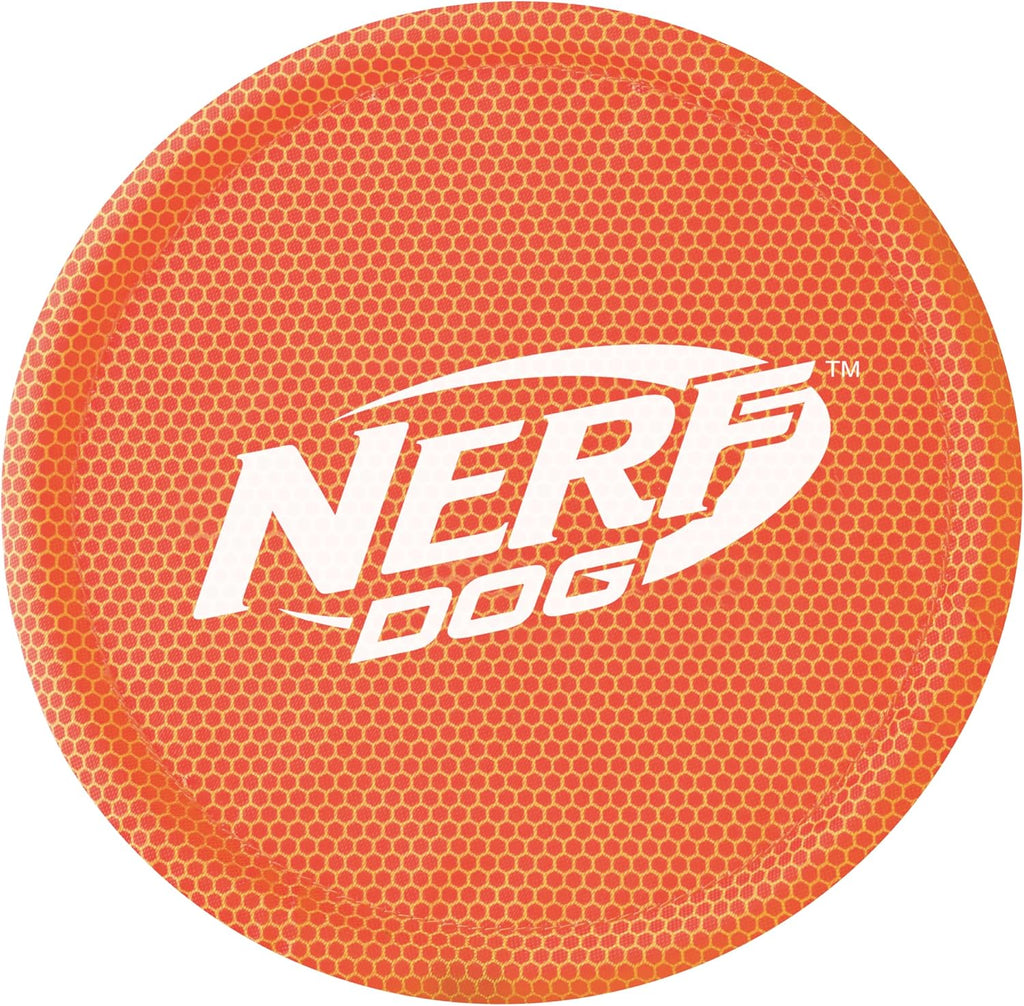 Dog playing with red Nerf Dog nylon fetch toy