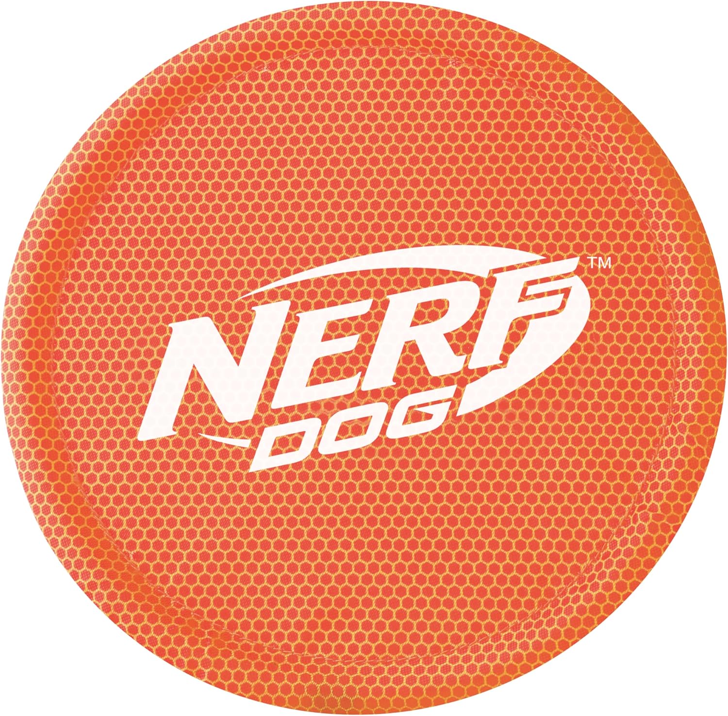 Dog playing with red Nerf Dog nylon fetch toy