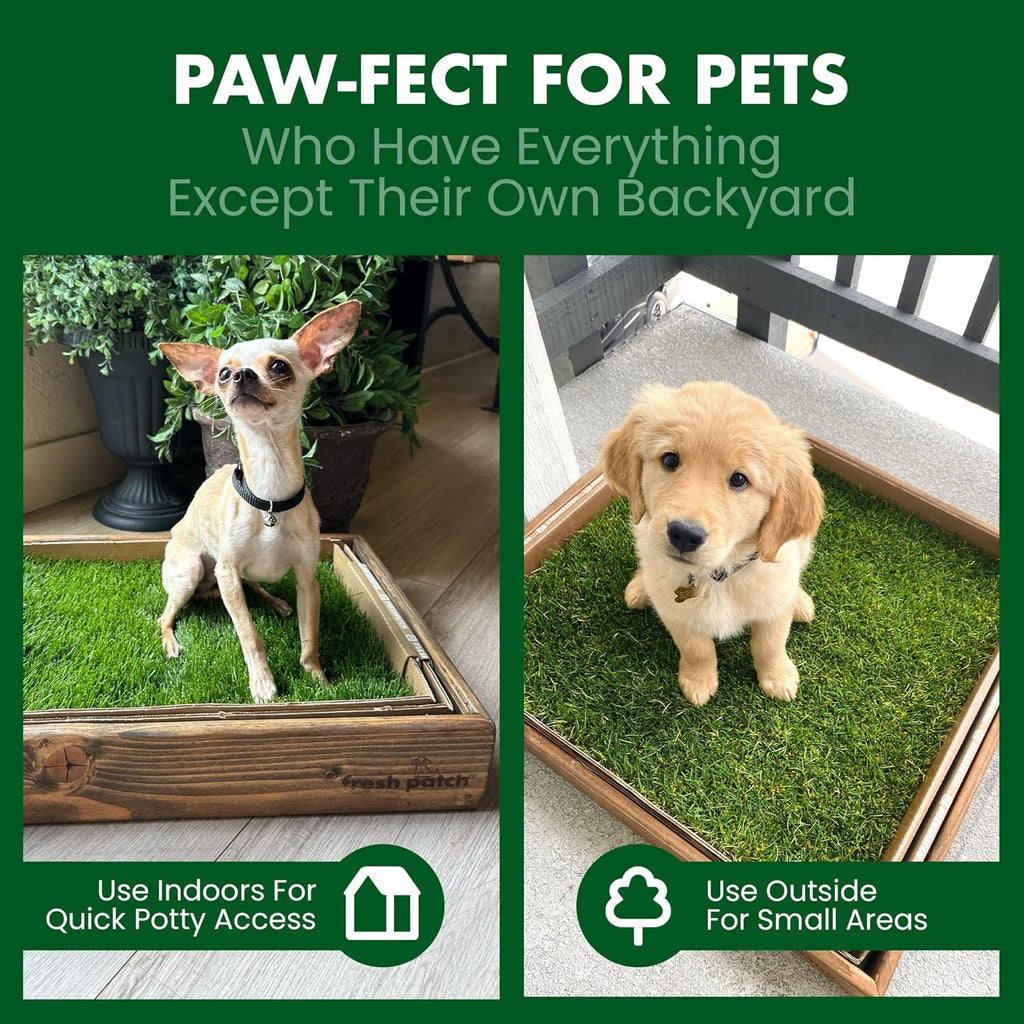 Fresh Patch 16 by 24 inch grass mat in cardboard tray