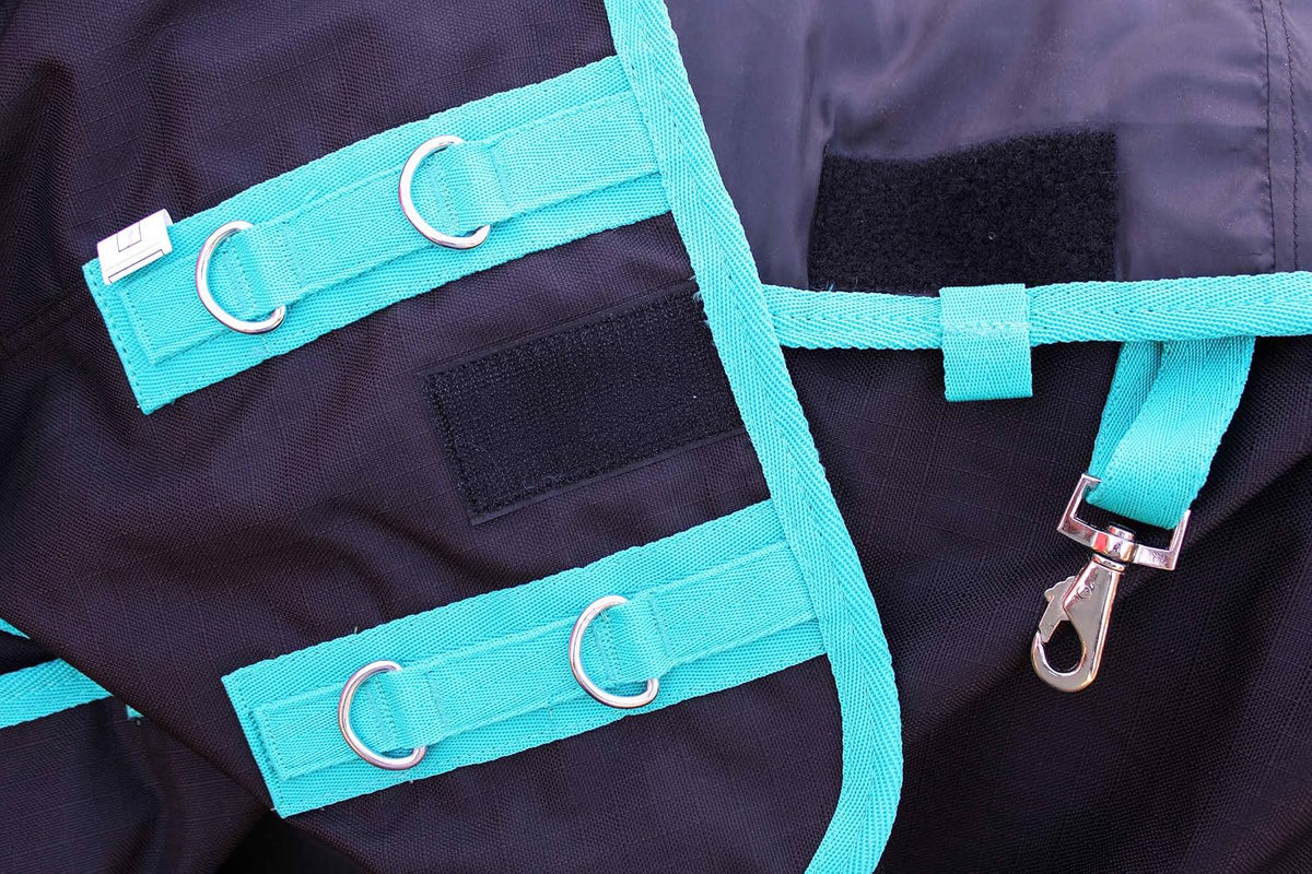 Challenger waterproof horse sheet 60 inch turquoise trim side view