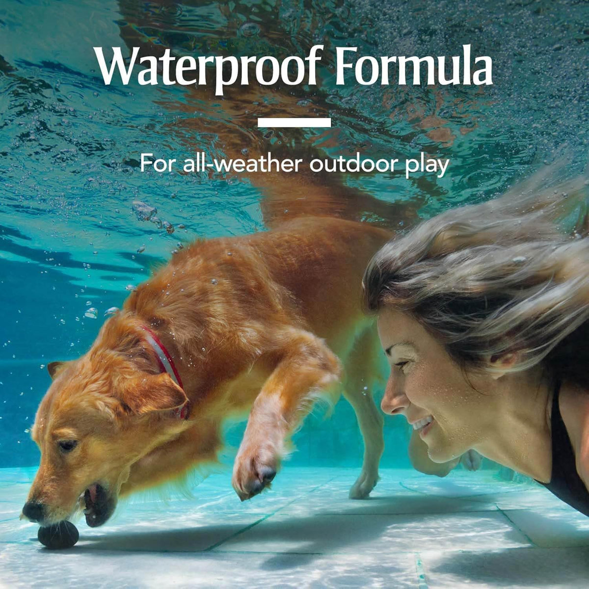 Waterproof dog tick treatment liquid tubes close up view