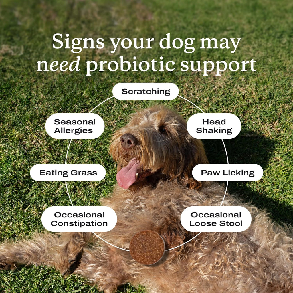 PetLab Co. dog probiotics container showing National Animal Supplement Council seal.