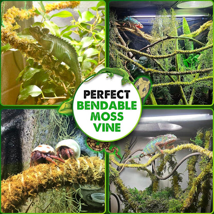 Bendable reptile jungle branch showing versatility in a terrarium setup