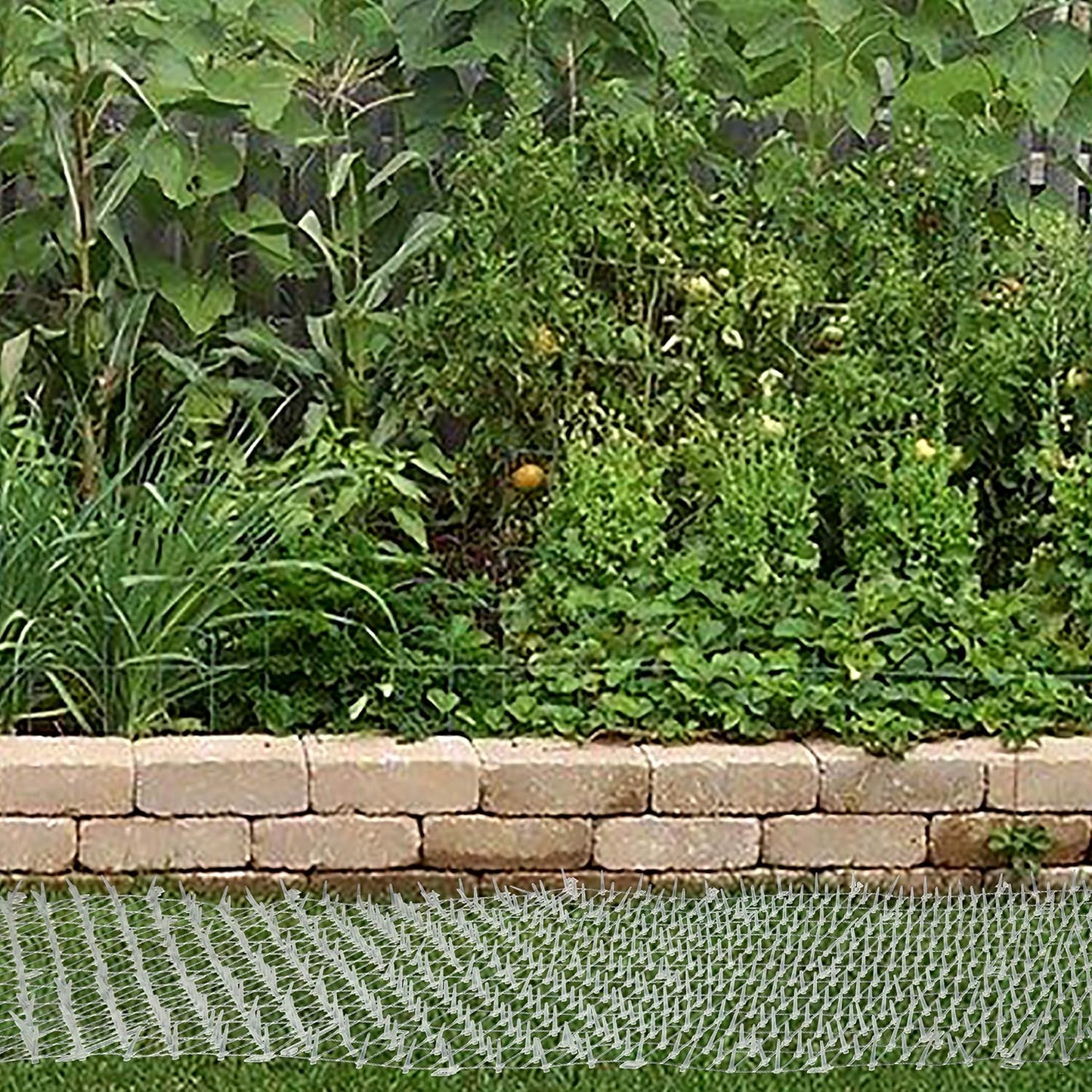 Flexible Tapix cat repellent mat unrolled