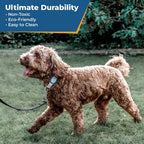 GoTags silent dog tag demonstrating how it slides onto a standard pet collar