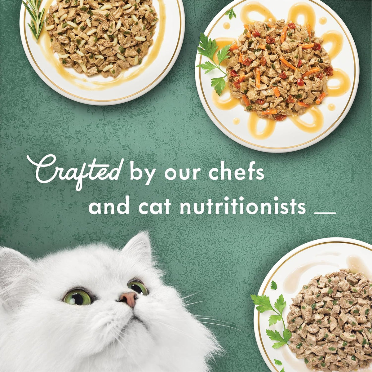 Close up view of Fancy Feast Medleys Tuscany recipe can and label details