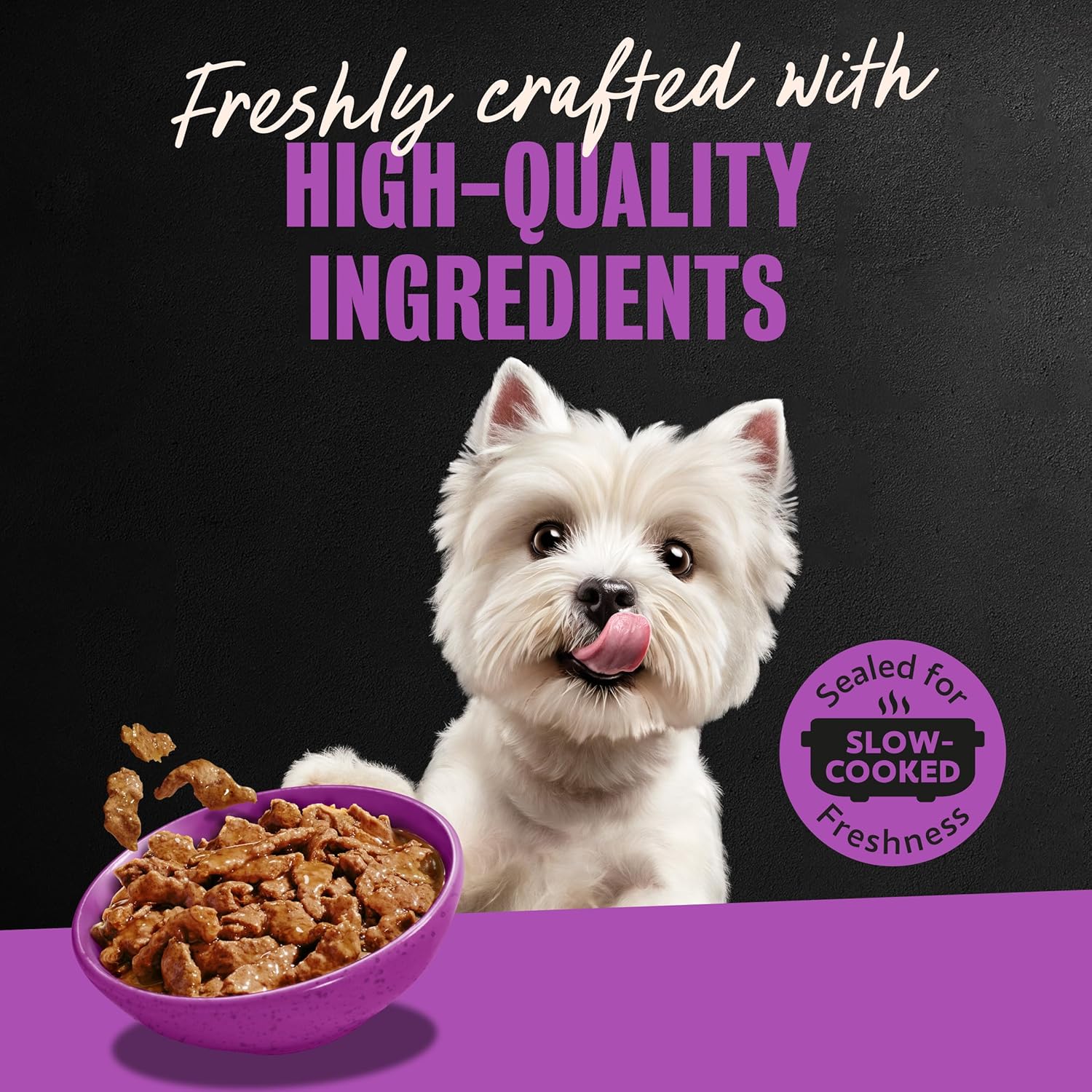 Cesar Filets in Gravy Adult Wet Dog Food Filet Mignon Flavor, 3.5 oz. Easy Peel Dog Food Tray, 24 Count (Pack of 1) - Image 11