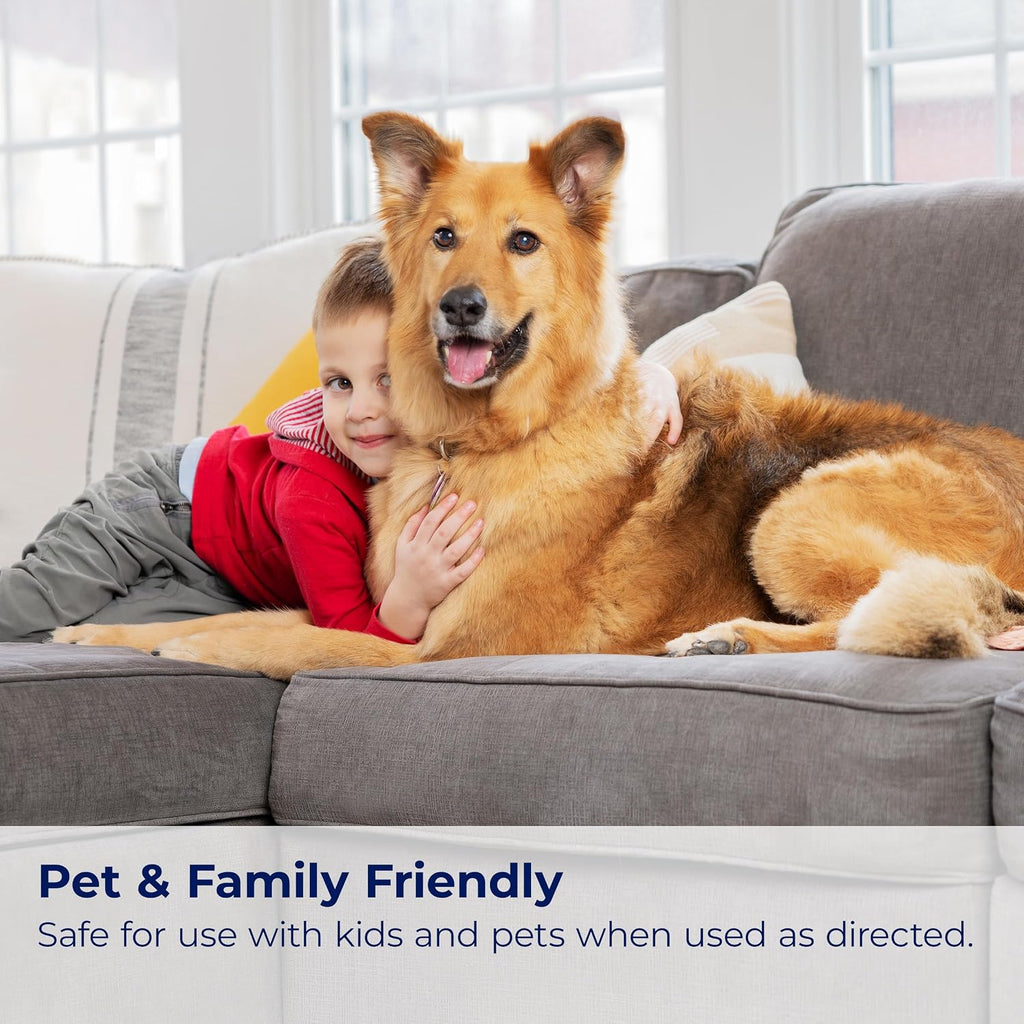 Bissell InstaClean Pet cleaner used on upholstery surface